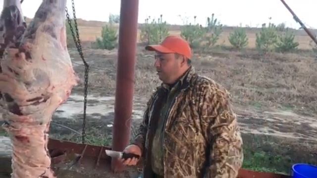 Отзыв о шкурнике с конвексом из х12мф с ТО от Сан Саныча смотреть онлайн