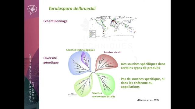 JTVigneVinBio19 - Levures Et Bactéries De Fermentation - Patrick LUCAS & Stéphane BECQUET