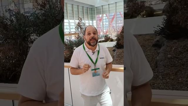 La ‘capilla sixtina’ del Neolítico смотреть онлайн