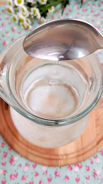 Лесные сокровища