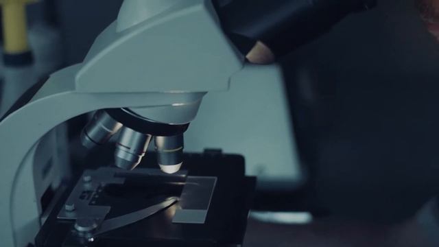 Tradd Cotter - Mushroom Mountain смотреть онлайн