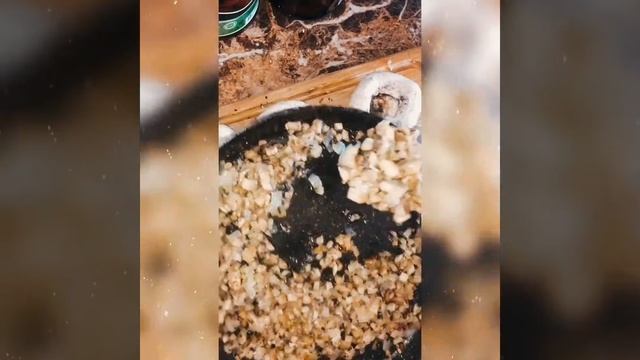 Фаршированные грибы смотреть онлайн