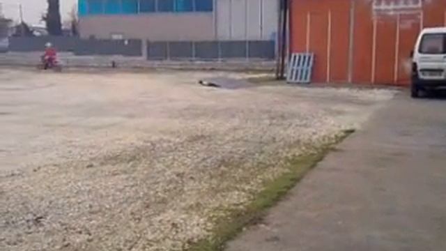 stunt of malaguti grizzly смотреть онлайн