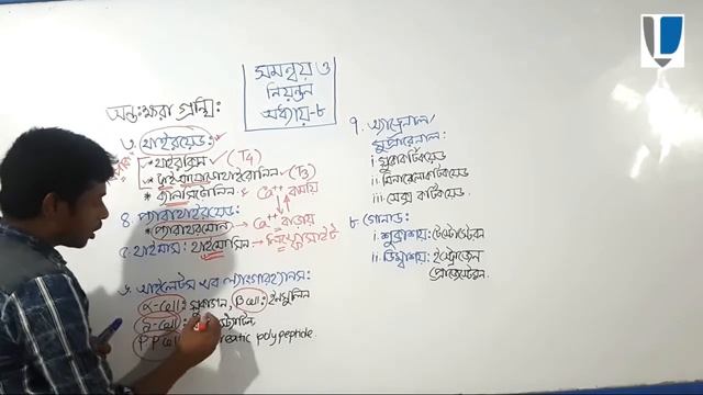 HSC || প্রাণিবিজ্ঞান || অধ্যায়-৮ || অন্তঃক্ষরা গ্রন্থি ও হরমোন || Part- 02 смотреть онлайн