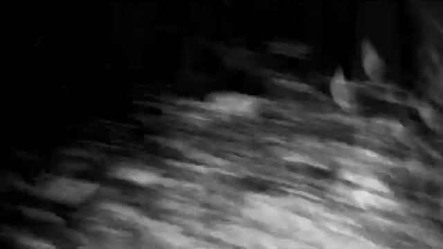 Polar Inertia - Parallel Transport [DEMENT3D] VideoClip смотреть онлайн