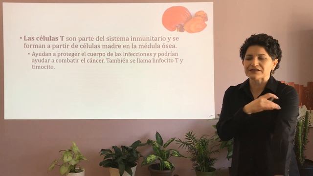 GANODERMA Propiedades | Poquito De Todo