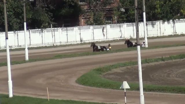 Московский ипподром. Бега. 18.08.13. Заезд 5(400). ПРИЗ БУДУЩНОСТИ смотреть онлайн