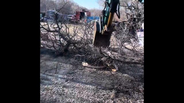 Push Russian Olive Trees Down With Mini Excavator смотреть онлайн