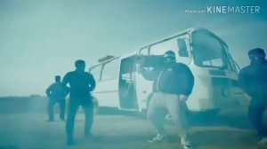 клип "грибы"