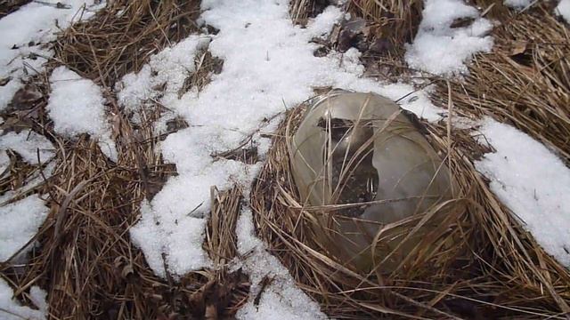 Can смотреть онлайн