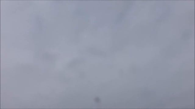 ВНИМАНИЕ! Прикольное Видео! Чёрный Ворон гоняется за Беспилотником DJI Phantom 3, Аляска США