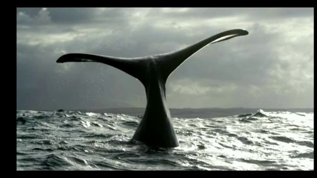 #каникулы смотреть онлайн