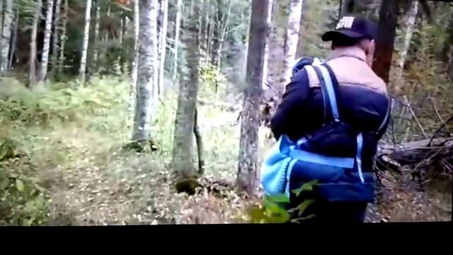 Внук был вчера в лесу смотреть онлайн