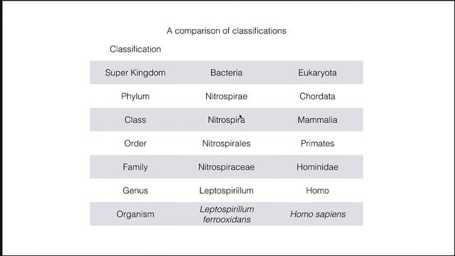 Microbial Ecology -  Acid Mines And Soil