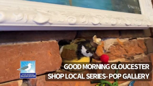 Good Morning Gloucester Shop Local Series- Pop Gallery смотреть онлайн