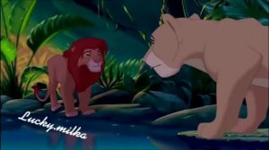 песенка Симбы и налы любовь