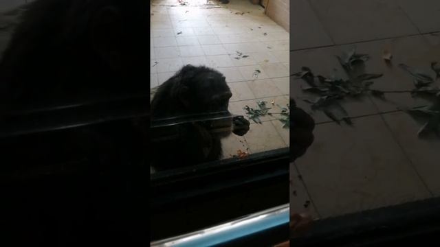 Роев Ручей смотреть онлайн