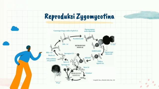 BIOLOGI KELAS 10 - KINGDOM FUNGI