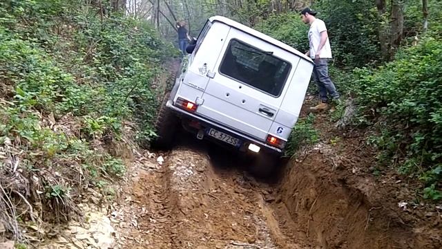 Dingo GD300 Canalone - Valdinievole