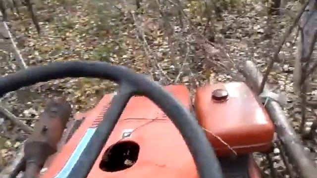 едим по лесу за орехами смотреть онлайн