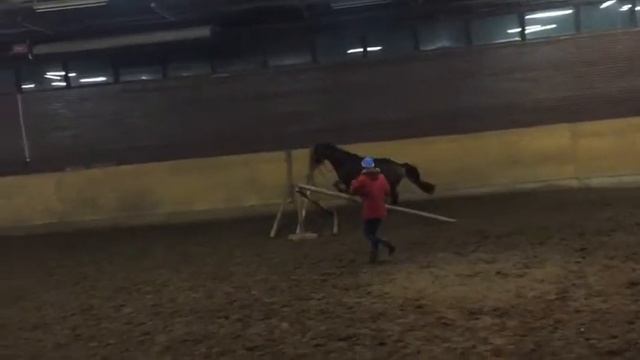 VID 20170314 WA0004 смотреть онлайн