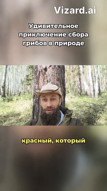 Отдыхай Хорошо 🌲🔥🍄 мухомор-лесогор.рф #shorts  #микродозинг #мухомор