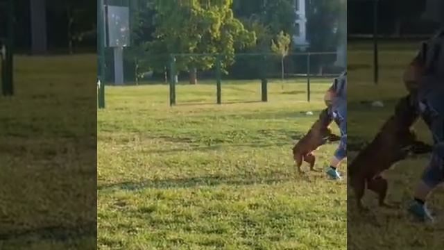 Защита треня смотреть онлайн