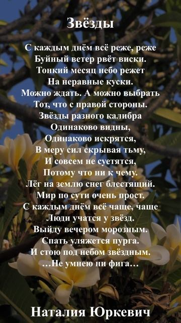 #стихи #стихиолюбви #поэзия #стих