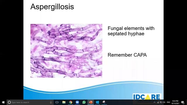 Infectious Diseases Update and Revision 4 смотреть онлайн