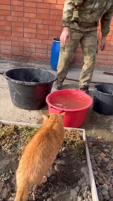 ручкам холодно, зима все-таки🙄 смотреть онлайн