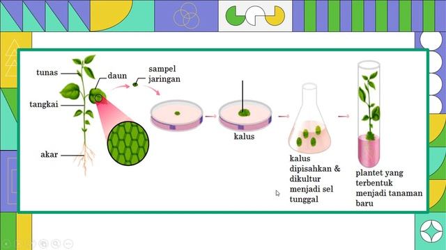 BIOTEKNOLOGI смотреть онлайн