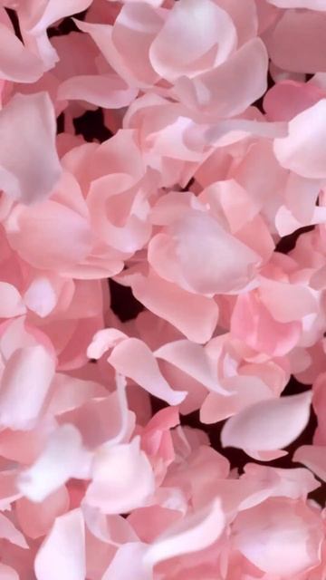 Carolina Herrera Good Girl Blush смотреть онлайн