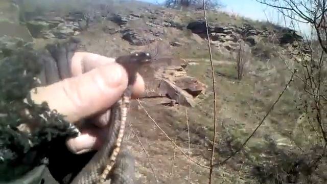 8-Змея(2) смотреть онлайн