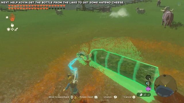 Zelda Tears Of The Kingdom A New Signature Food Side Quest Guide