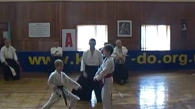 Кумите Сапегин 3 Чемпионат Украины г.Кропивницкий 2017