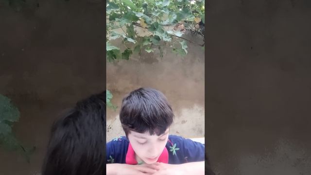 Исашка читает и переводит  Текст 32