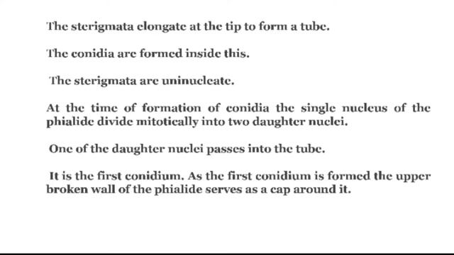 Aspergillus - Structure, Reproduction And Economic Importance