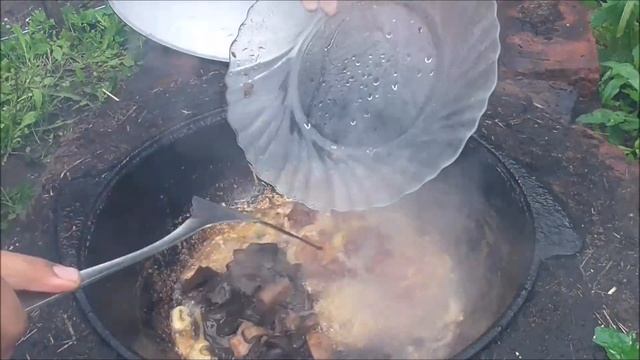 Грибы с мясом и Картофель фри.