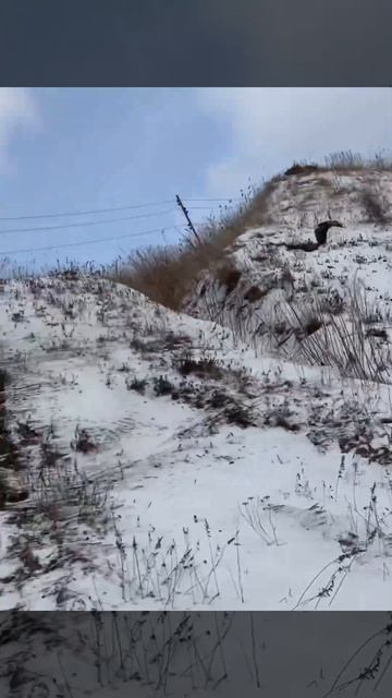 21.02.23 Сахалин! Ворона и Орлан сопровождают Нас) это Сахалин. Холмск Полякова. смотреть онлайн
