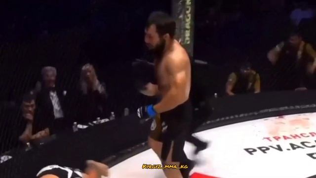 АЛТЫНБЕК МАМАШЕВ ИнШаАллах, в скором времени я привезу пояс чемпиона 𝐀𝐂𝐀 на родину! КТО ЗА ЛАЙК❤️ смотреть онлайн