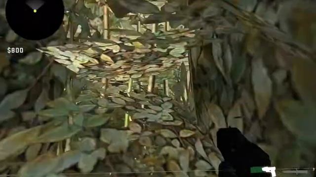 МАЙНЯК В КЭЗГО смотреть онлайн