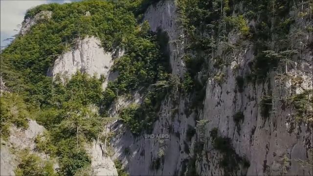 Стерх - Чаша полна смотреть онлайн