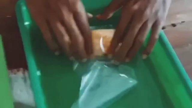 TRICHODERMA🍄 Perkembangbiakan Trichoderma Media Jagung смотреть онлайн