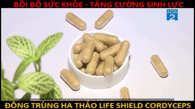 Đông trùng hạ thảo Life Shiled Cordyceps - Bồi Bổ Sức Khỏe, Tăng Cường Sinh Lý Nam Nữ смотреть онлайн