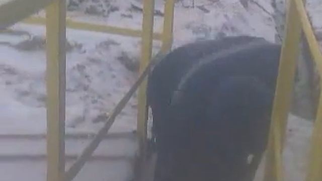 Джони–гастарбайтер в Лангепасе. смотреть онлайн