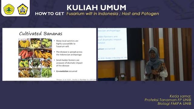 KULIAH UMUM || HOW TO GET Fusarium wilt in Indonesia; Host and Patogen смотреть онлайн
