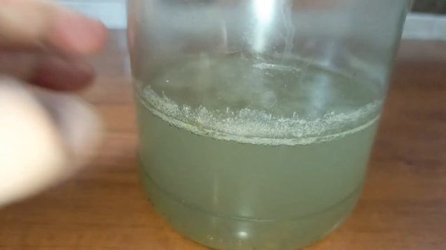 🍄Триходерма очередной эксперимент🍄 #триходерма #триходермаразмножение #триходермаотпрофит #профит