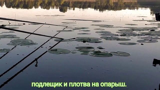 РЫБАЛКА ЛОВИМ КАРАСЯ. смотреть онлайн