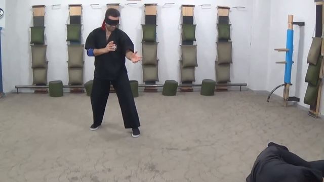 Armenian Wing Tsun Винг Чун, Chi Sao, 2 Closed Eyes, Mikayel Ayvazyan смотреть онлайн