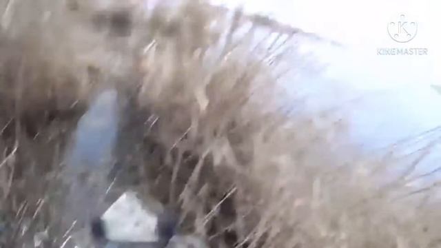 O'RDAK OVI смотреть онлайн